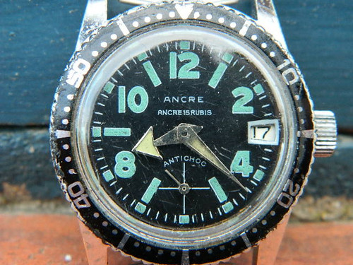 DSCN8229.jpg