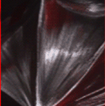bh4.gif