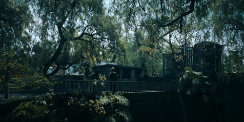 a85c7d695a3b.jpg