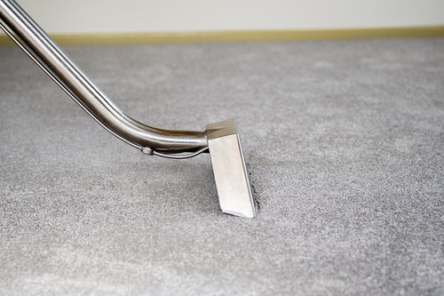 Carpet Cleaning Professionals in Auckland by Ecosan for Deep Clean & Hygiene.jpg