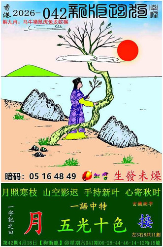 p9.jpg
