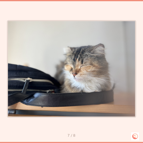 299890183c6d.png