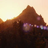 sparrow enb 1015 21891757569 o