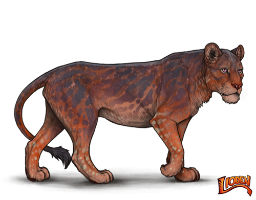 lioden wardrobe (1).png