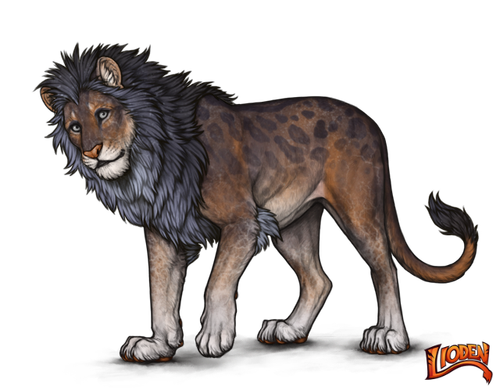 lioden wardrobe (2).png