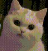 85cf5a508b60.gif