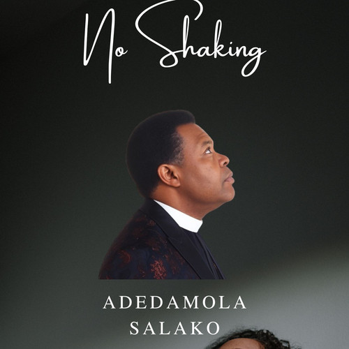 No Shaking Music Album Cover.jpg