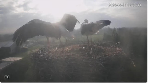 MWSnap250.jpg
