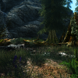 sparrow enb 318 test 26137986089 o