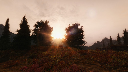 sparrow enb 1015 21455797724 o