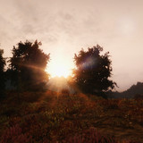 sparrow enb 1015 21455797724 o