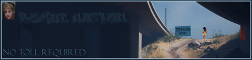 Toll Banner.jpg