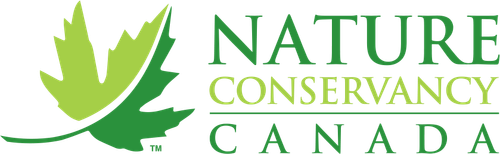 ncc logo.png