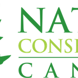 ncc logo