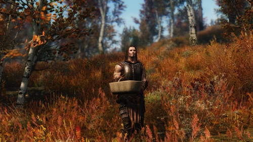 sparrow enb test 21773441593 o.png