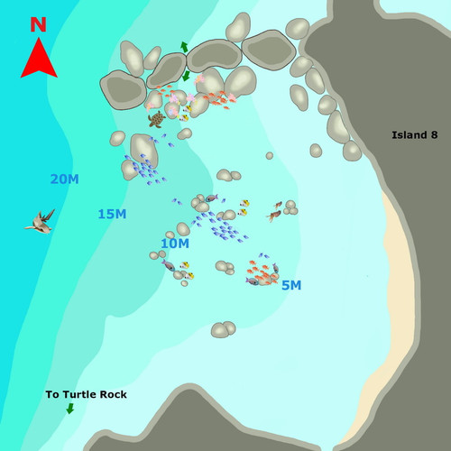 Donald Duck Bay.jpg