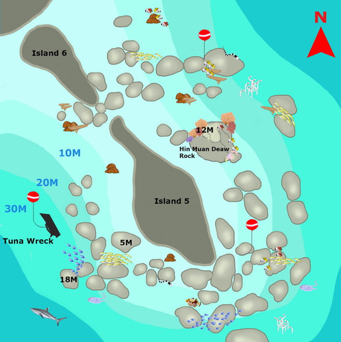 Anita's Reef.jpg