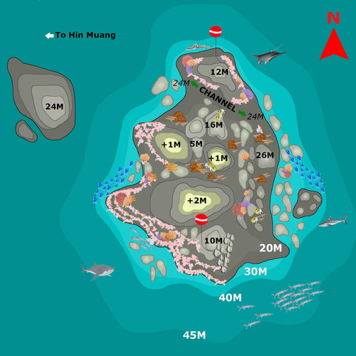 Hin Daeng.jpg