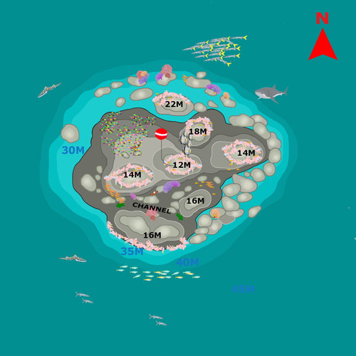 Eight Miles Rock.jpg