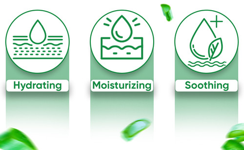 0dfa09d9 a7d9 4326 b815 e0851f55ae6c. CR0,0,970,600 PT0 SX970 V1 .jpg