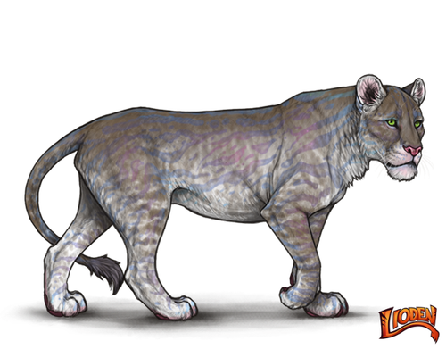 lioden wardrobe (3).png