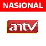 antv.png