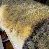 还切换了大小写 越睡越沉.gif