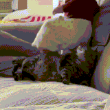 惹不起，真的惹不起