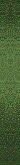 set126strip.jpg