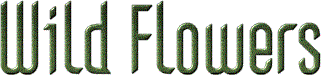 set126wildflowers.gif