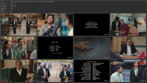 Maamla.Legal.Hai.S02.720p.HEVC.WEB DL.Hindi.AAC2.0.x265.ESub SkymoviesHD.jpg