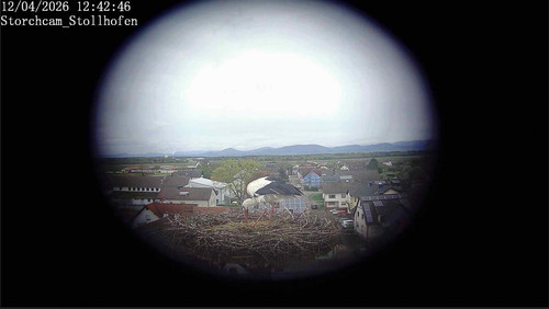MWSnap679.jpg