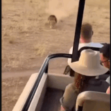 AISelect 20260412 200525 Threads.gif