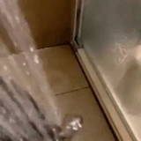 shower.gif