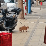Moonwalk.gif