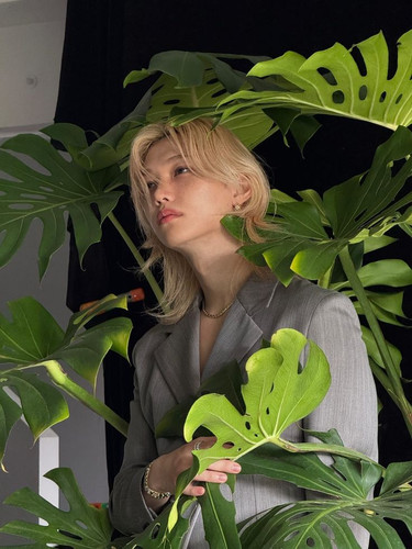 ดาวน์โหลด 2026 04 12T175112.844.jpg