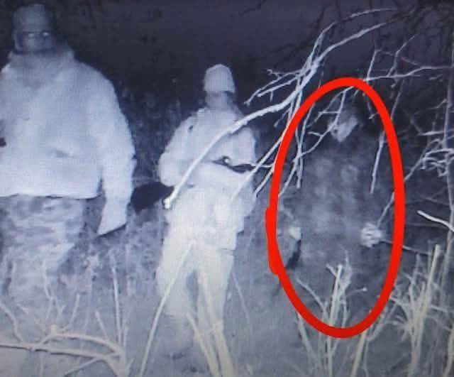 [Image: BXUNYga.jpg]