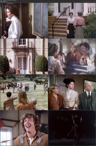 Amy.1981.German.AC3D.480p.DSNP.WEB DL.H.264 bobbel.mkv.jpg