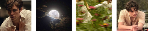 ao3 image chapter 8.png
