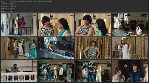 Arrange.Marriage.S01E03.720p.HEVC.WEB DL.Hindi.2CH.x265 SkymoviesHD.jpg