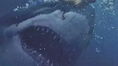 ezgif 2 3e29ce5a078c.webp