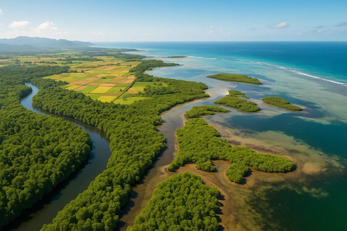 Natural Capital.jpg