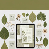 70 Solid olive green header with 1 20260411 181543