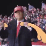 mezgif 54e9ffbf05c88d.gif