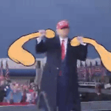 mezgif 5465edfea39615.gif