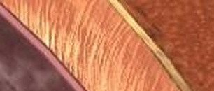f5305ff96ddc.jpg