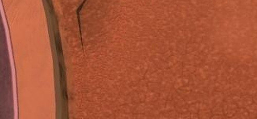 a78e69c0c23d.jpg