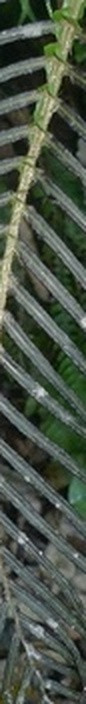 f01c01952a1c.jpg