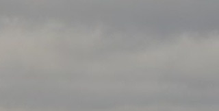 121ec1f56943.jpg