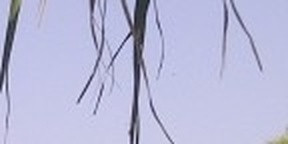 5b8511a00ee0.jpg